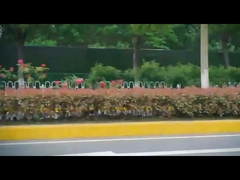 Dfs 5 Portas 5 Assentos Elétrico Suv Honda ns1 Novos Carros Elétricos Direção Esquerda FWD Carro Elétrico EV Carro